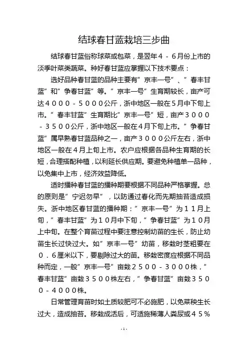 结球春甘蓝栽培三步曲