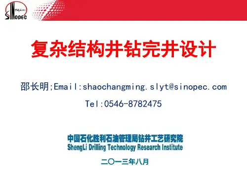 复杂结构井的概念及其它