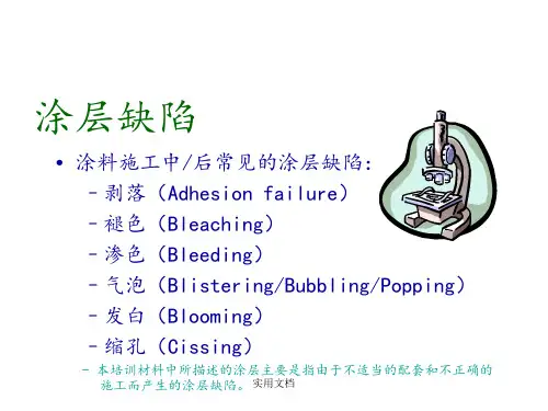 《涂层缺陷分析》