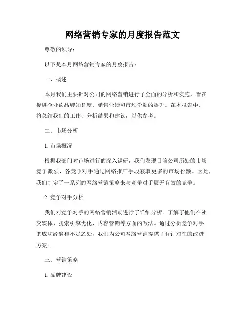网络营销专家的月度报告范文