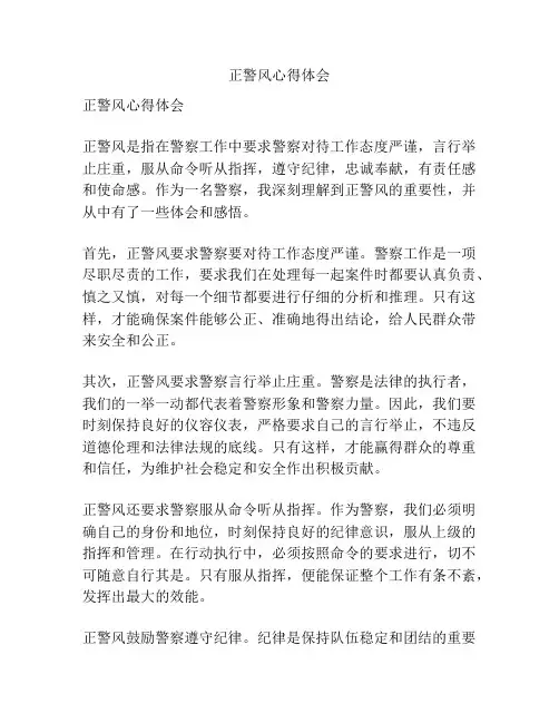 正警风心得体会