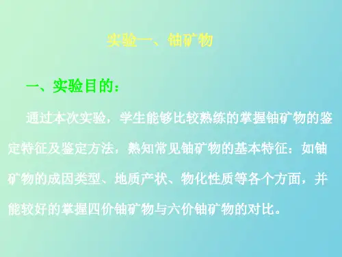 铀资源地质学实验