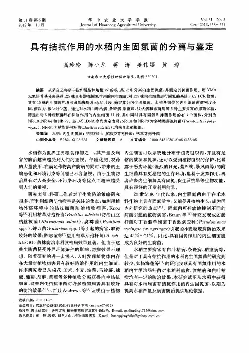 具有拮抗作用的水稻内生固氮菌的分离与鉴定