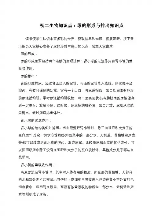 初二生物知识点：尿的形成与排出知识点