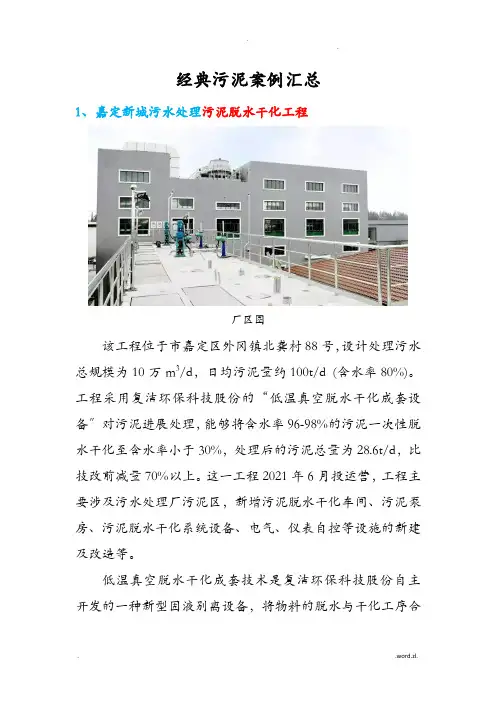 污泥处置实际案例
