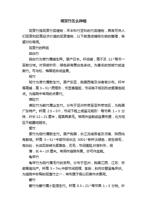 观赏竹怎么种植