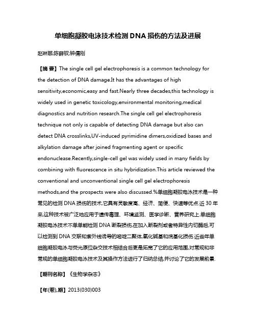 单细胞凝胶电泳技术检测DNA损伤的方法及进展