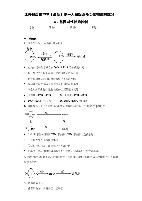 江苏省【最新】高一人教版必修2生物课时练习：4.2基因对性状的控制