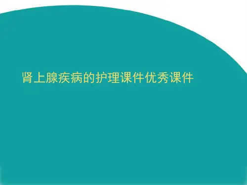 肾上腺疾病的护理课件优秀课件