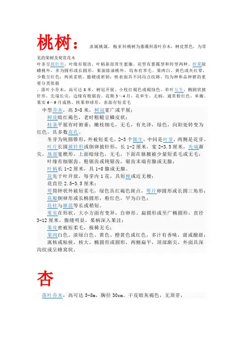 蔷薇科