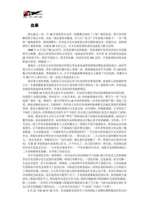 【湖南刑事案件纪实】血案