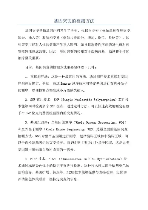 基因突变的检测方法