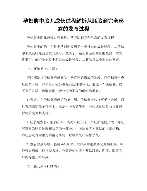 孕妇腹中胎儿成长过程解析从胚胎到完全形态的发育过程