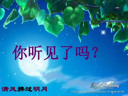 你一定会听见的 PPT课件