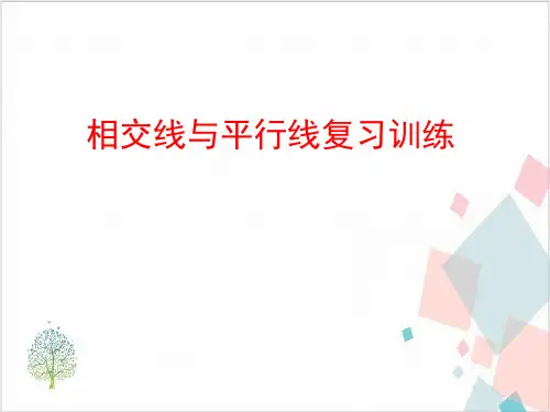 人教版初中数学《相交线与平行线》_PPT-精美1