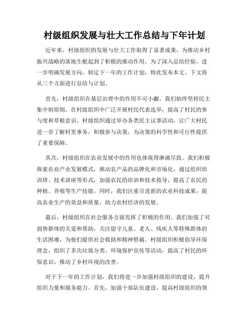 村级组织发展与壮大工作总结与下年计划