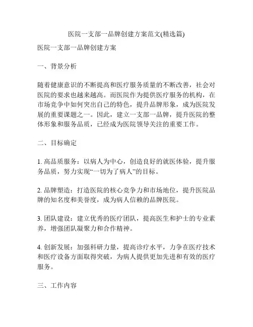 医院一支部一品牌创建方案范文(精选篇)