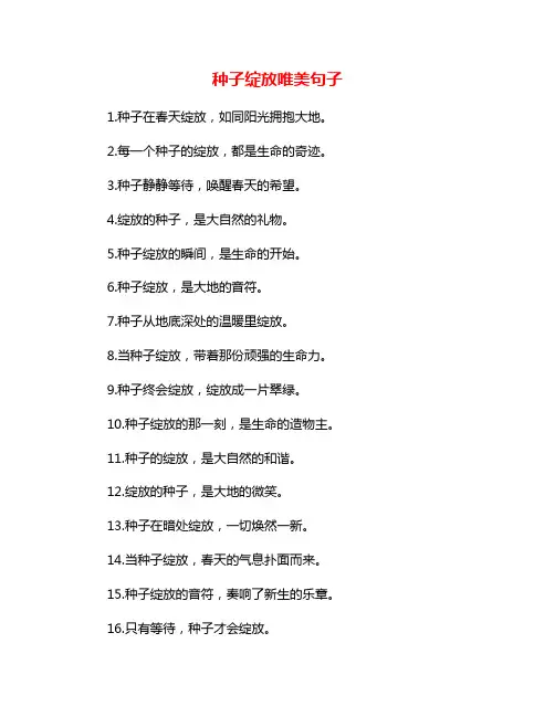 种子绽放唯美句子