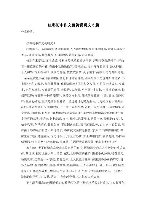 红枣初中作文范例说明文5篇