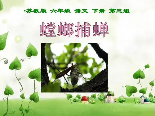 《螳螂捕蝉》PPT精品教学课件4
