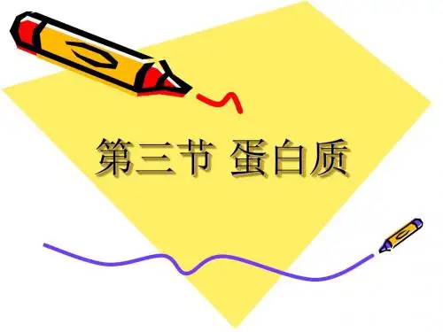 蛋白质