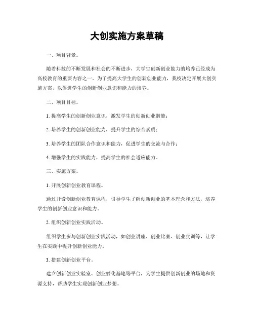 大创实施方案草稿