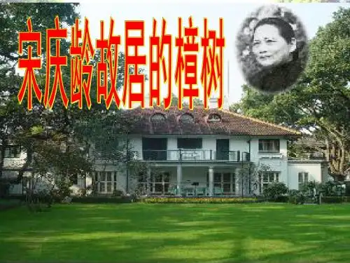 22.宋庆龄故居的樟树