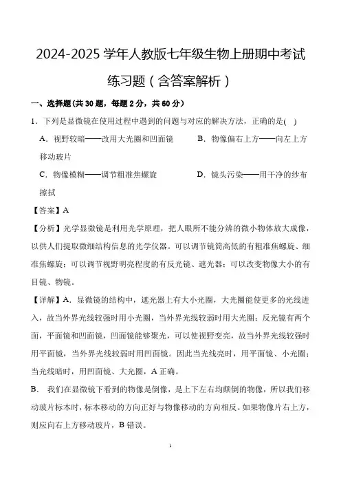 2024-2025学年人教版七年级生物上册期中考试练习题(含答案解析)