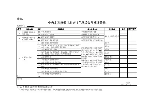 中央水利投资计划执行年度综合考核评分表