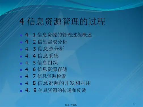 信息资源管理的过程