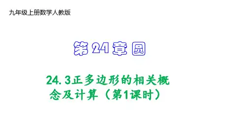 人教版九年级数学上册 正多边形的相关概念及计算(第1课时)