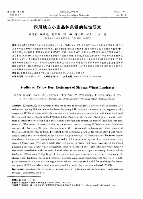 四川地方小麦品种条锈病抗性研究