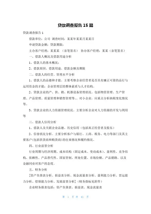 贷款调查报告15篇