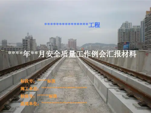 安全质量工作例会汇报材料