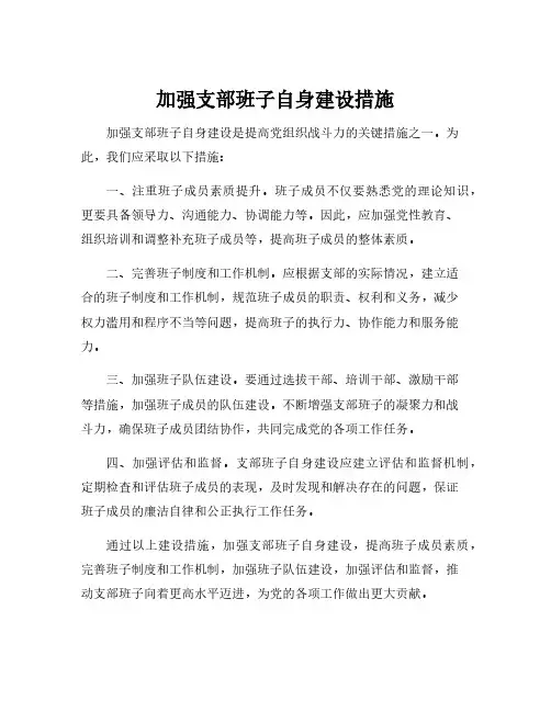 加强支部班子自身建设措施