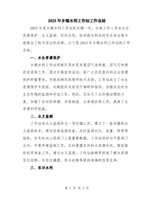 2023年乡镇水利工作站工作总结