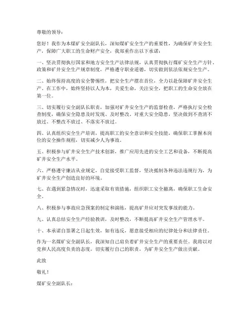 煤矿安全副队长承诺书模板