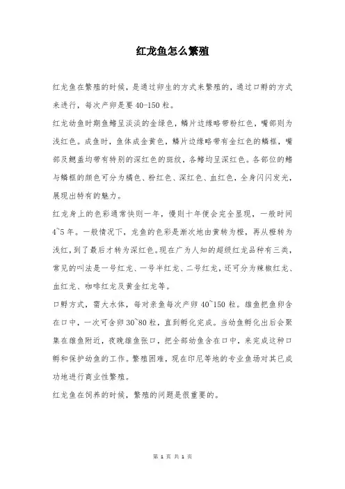 红龙鱼怎么繁殖