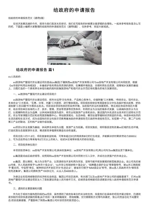 给政府的申请报告