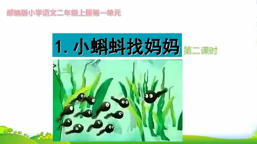 人教部编版二年级上册语文课件1. 小蝌蚪找妈妈 (第2课时) (共11张PPT)