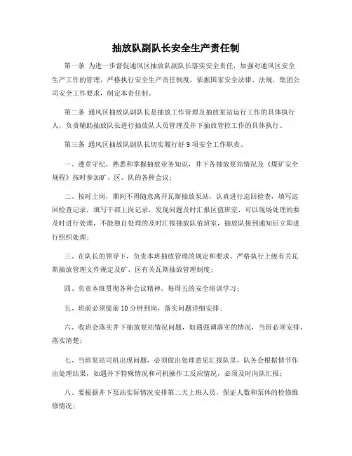抽放队副队长安全生产责任制