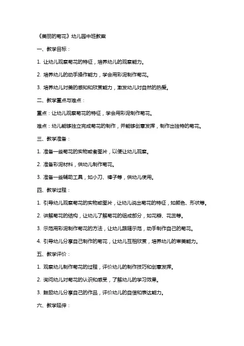《美丽的菊花》幼儿园中班教案