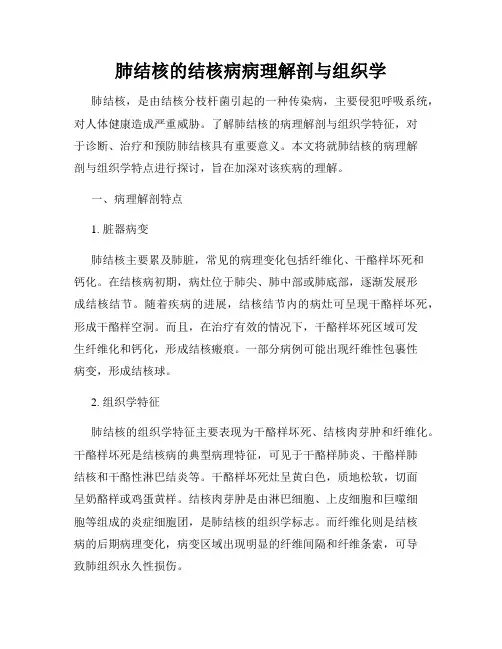 肺结核的结核病病理解剖与组织学