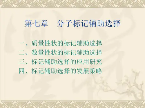 第七章 分子标记辅助选择