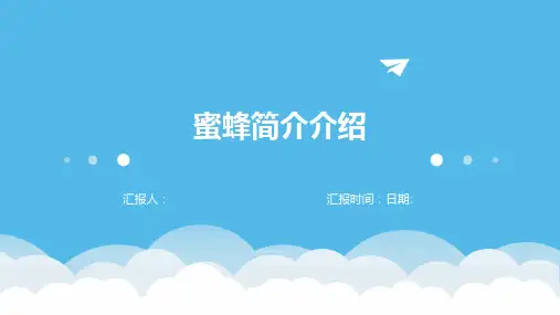 蜜蜂简介介绍