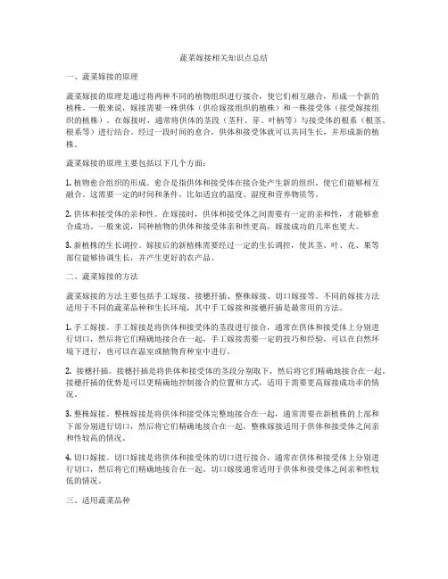 蔬菜嫁接相关知识点总结