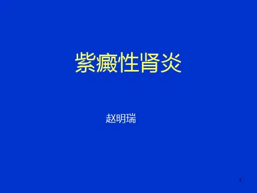 过敏性紫癜最新PPT课件