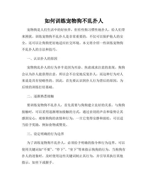 如何训练宠物狗不乱扑人