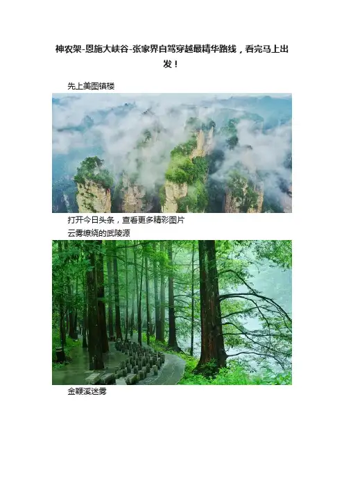 神农架-恩施大峡谷-张家界自驾穿越最精华路线，看完马上出发！