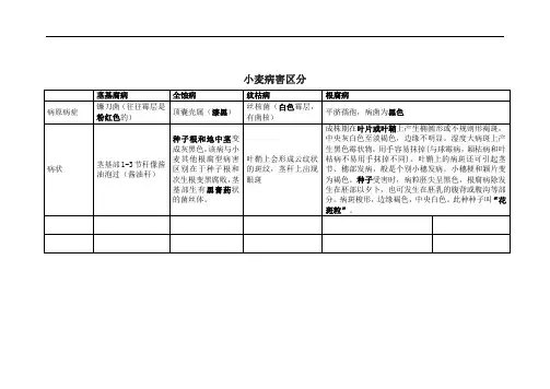 茎基腐病-根腐病-全蚀病区别
